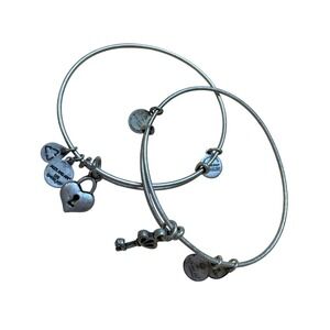 Alex and Ani Bangle Bracelet Silver Heart Lock Key Charm Stackable Adjustable